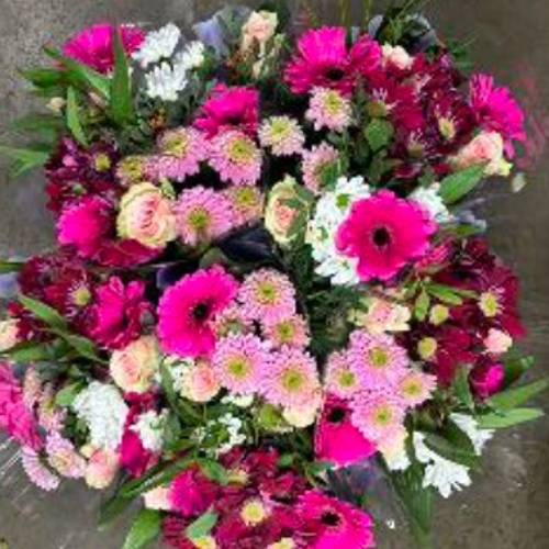 Strauß Raven cerise 50cm 12 Stiele