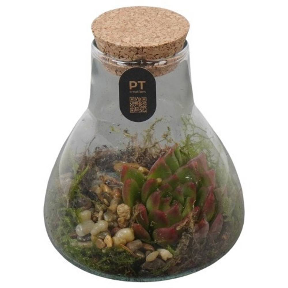 Flor.Arr PTIG2706 T11 H014