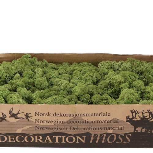 Island Moos grün 500 Gr