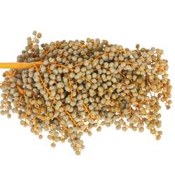 Dattel Di Lago 1kg