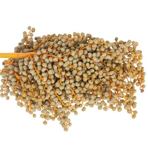 Dattel Di Lago 1kg