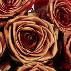 Rose dunkel rot/kupfer Red Naomi Antique Gefärbt 70cm
