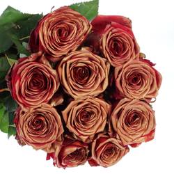 Rose dunkel rot/kupfer Red Naomi Antique Gefärbt 70cm