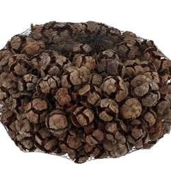 Trocken Cypresse natur 1kg