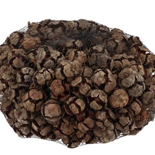 Trocken Cypresse natur 1kg