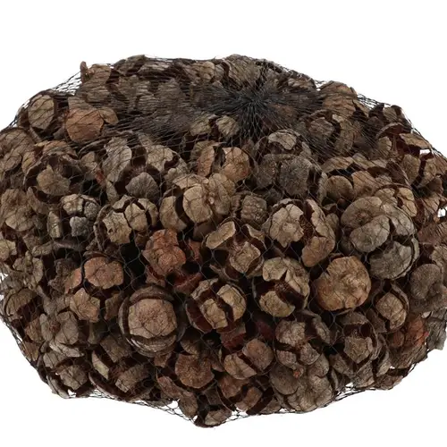 Trocken Cypresse natur 1kg