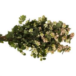 Schneebeere hell rosa Magical Mandy 65cm