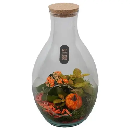 Flor.Arr PTHG8251 T18 H034