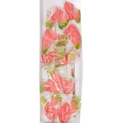 Anthurium rosa/grün Jesolo Blüte 18cm