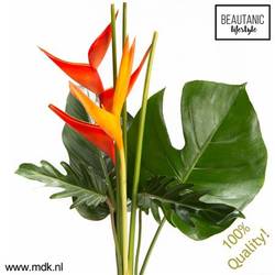 Heliconia Strauß Amor 60cm