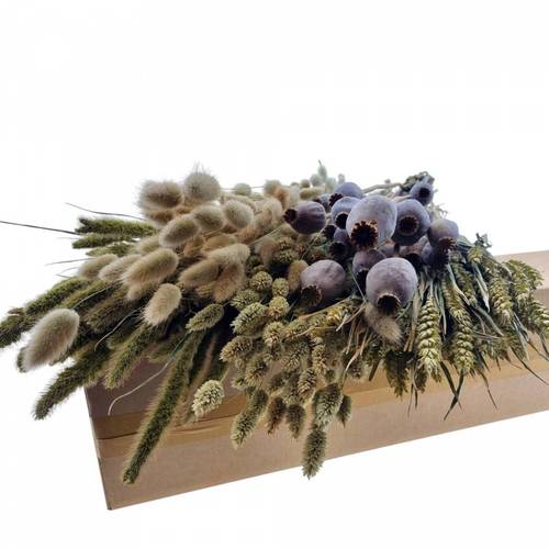 Trocken DIY Box assorti braun L65-70cm 