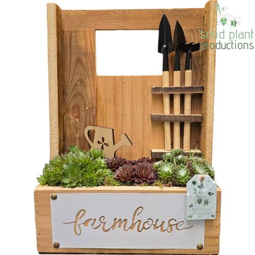 Semper.Arr SMP015 Farmhouse T26 H037
