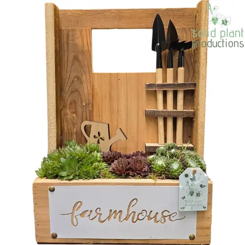 Semper.Arr SMP015 Farmhouse T26 H037