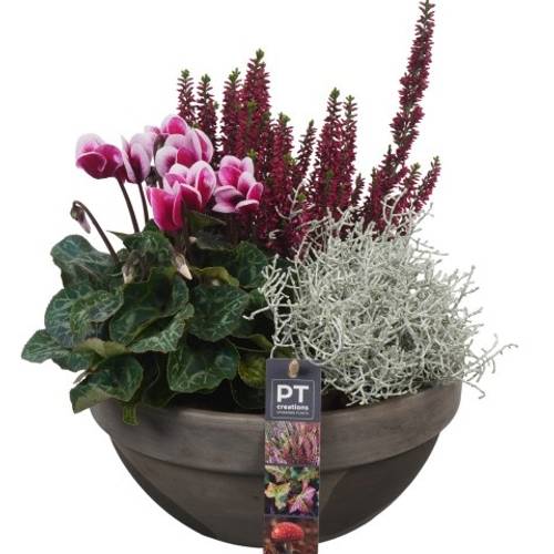 Garten.Arr PTHO4264 Herbst T23 H031