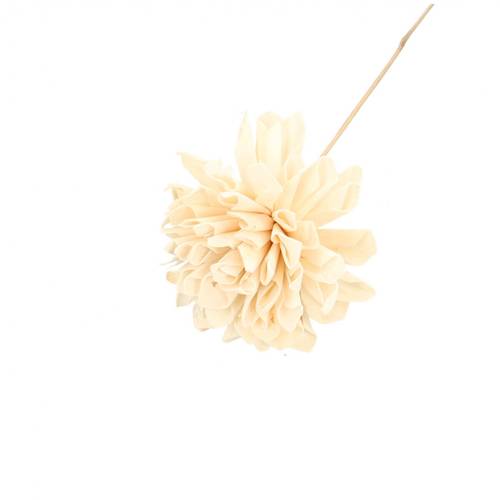 Trocken Dahlia auf Stab natur L50cm D10cm