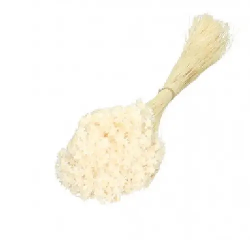 Trocken Glixia gebleicht L40cm 50gr