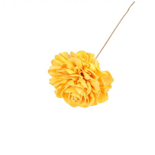 Trocken Dahlia auf Stab gelb L50cm D10cm