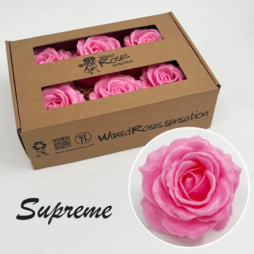 Seiden Wachs Rose Supreme rosa