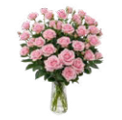 Rose verzweigt rosa Eileen 5+Blüte 50cm
