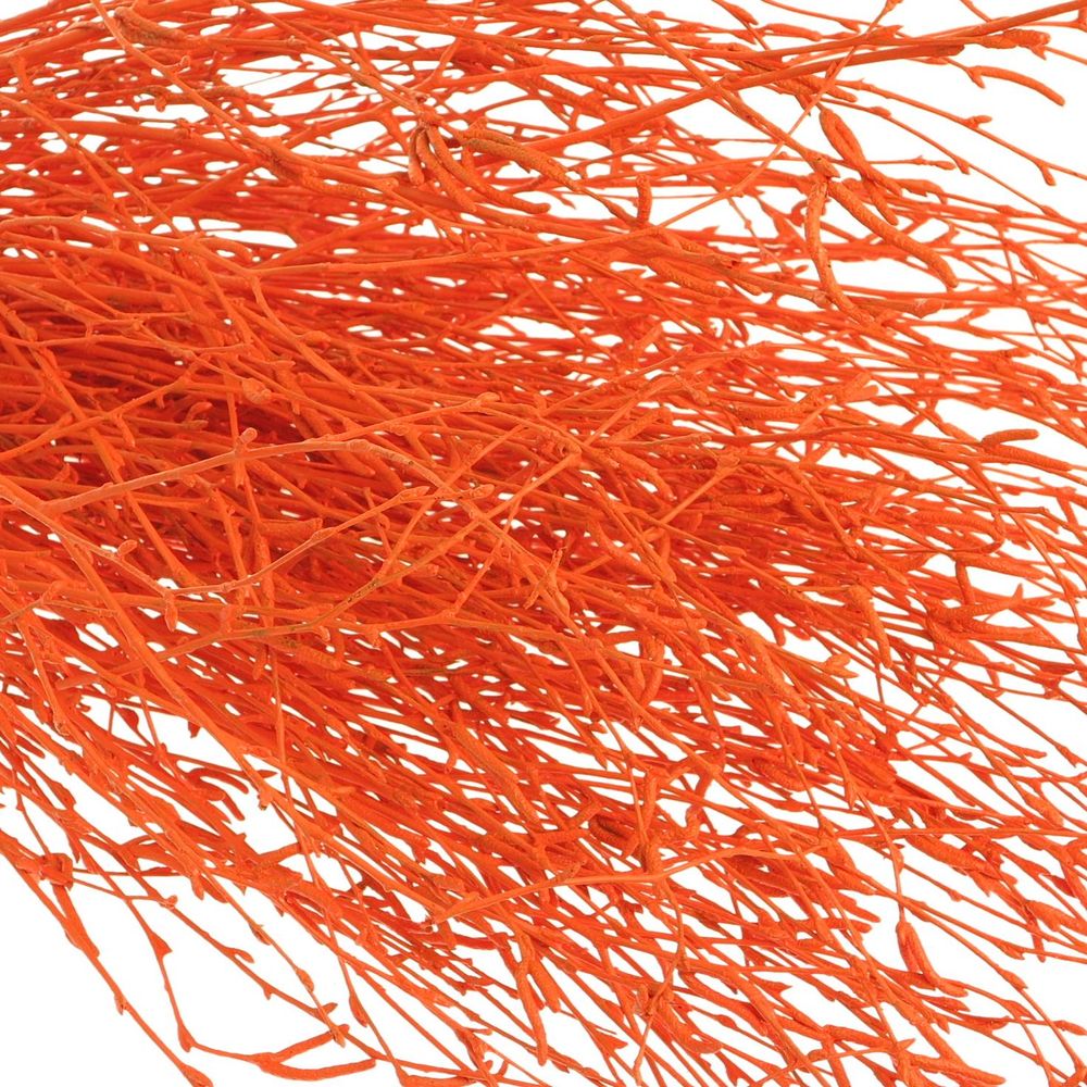 Birke orange gefärbt 70cm
