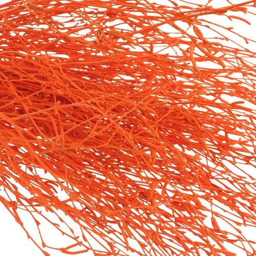 Birke orange gefärbt 70cm