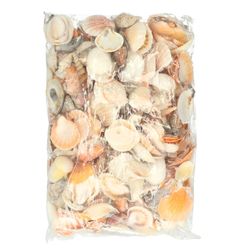 Muscheln mix natur/weiss 2kg