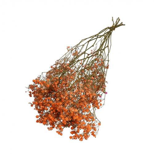 Trocken Gyps orange L70cm 50gr