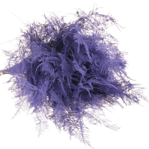 Plumoses milka gefärbt 40cm
