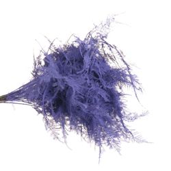 Plumoses milka gefärbt 40cm