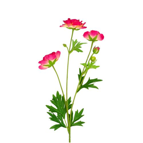 Seiden Ranunkel rosa L72cm