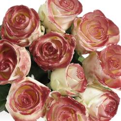 Rose weiss/weinrot Wachs  60cm