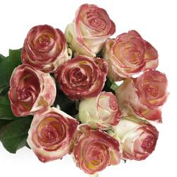 Rose weiss/weinrot Wachs  60cm