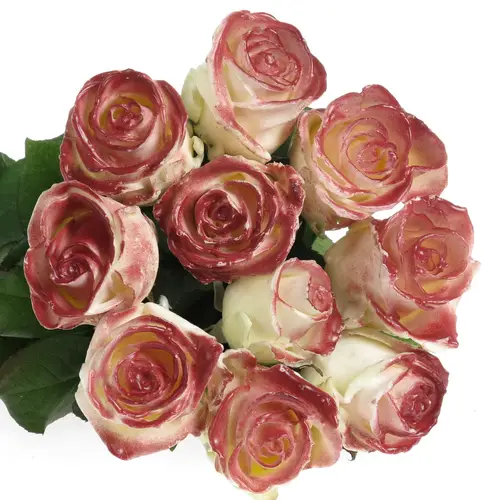 Rose weiss/weinrot Wachs  60cm