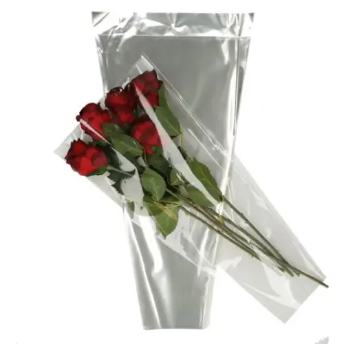 Tüte CPP30 40x25x10cm x50