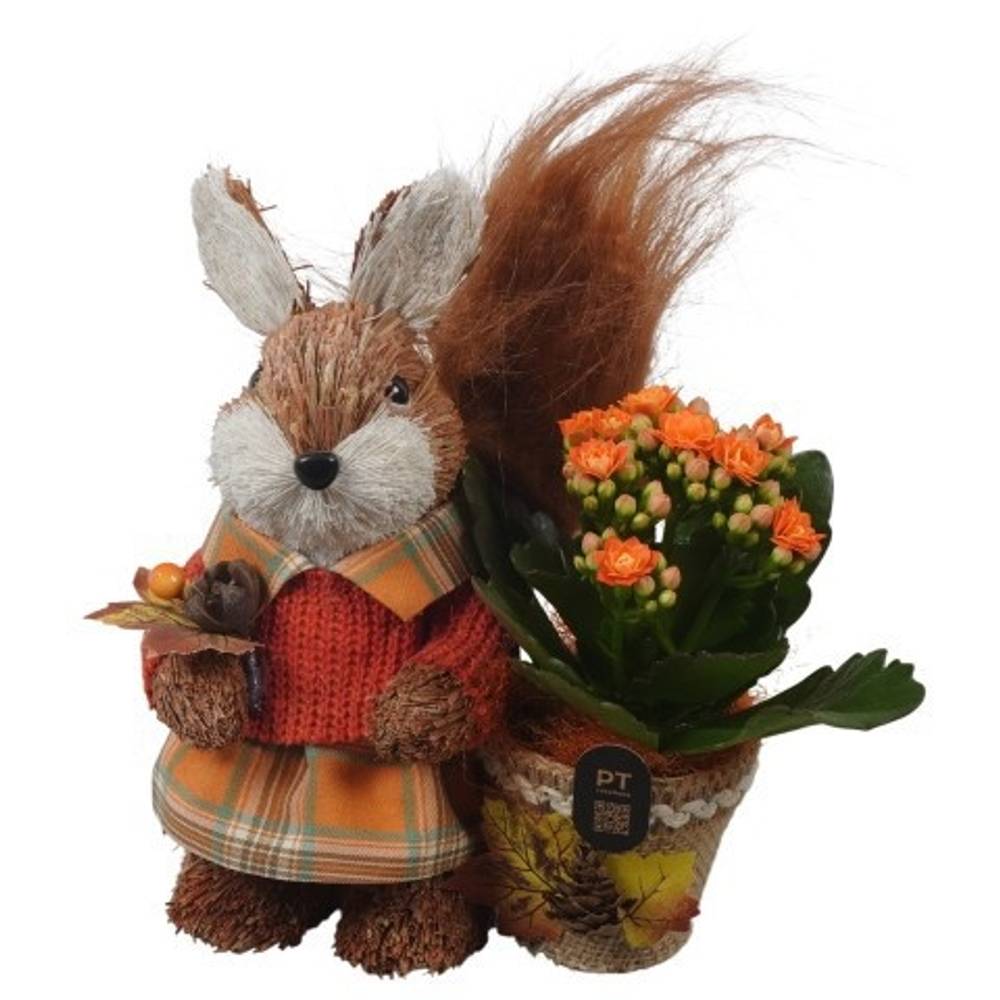 Kal.Arr PTHI3326 Herbst T15 H020