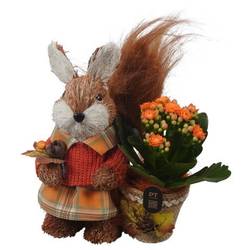 Kal.Arr PTHI3326 Herbst T15 H020