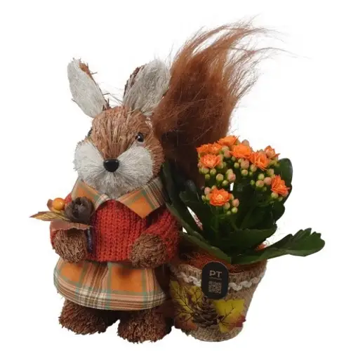 Kal.Arr PTHI3326 Herbst T15 H020