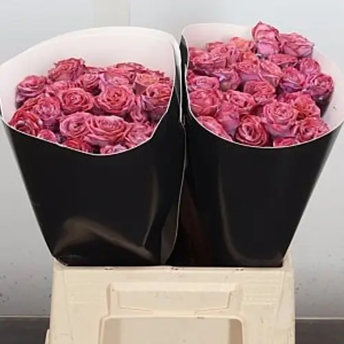 Rose verzweigt fuchsia/rosa Wachs Flaming Milka 40cm