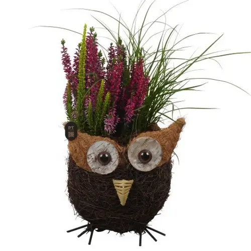 Garten.Arr PTHO7636 Herbst T17 H038