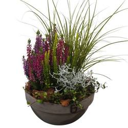 Garten.Arr PTHO7700 Herbst T19 H037