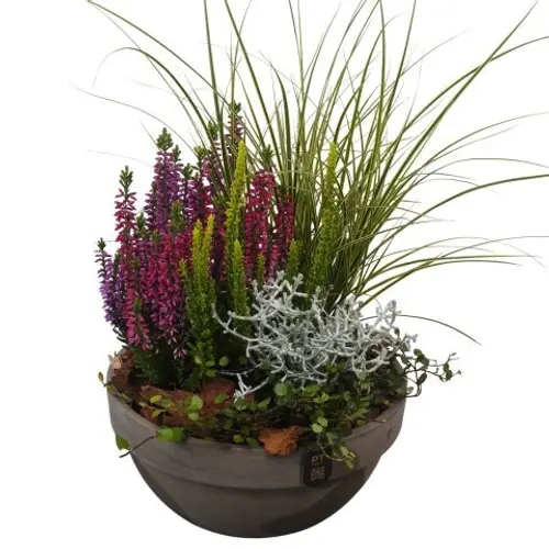 Garten.Arr PTHO7700 Herbst T19 H037