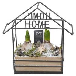 Hyac.Arr PTWH7733 weisse Bl. Winter T18 H025