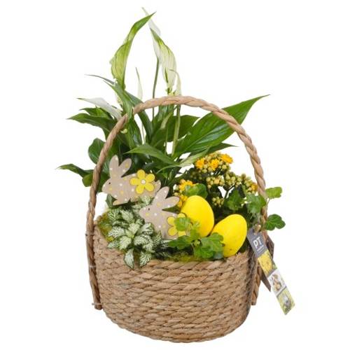 Ostern Arr PTPB3768 T22 H041