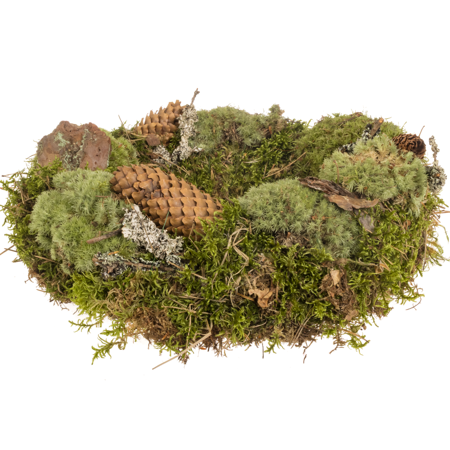 Kranz grün/braun Wald Moos/Zapfe D30cm