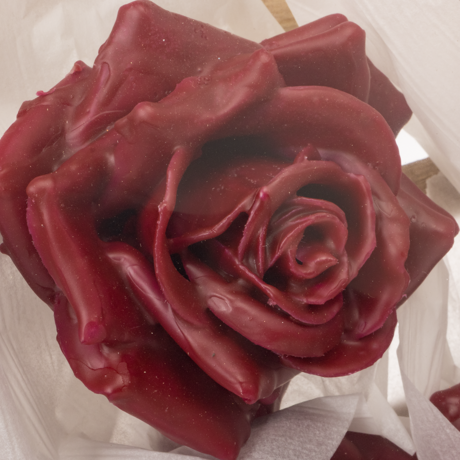 Seiden Wachs Rose im Kiste weinrot D10-12cm