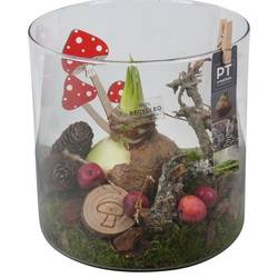 Amaryl.Arr PTAA7591 rote Bl. T19 H022