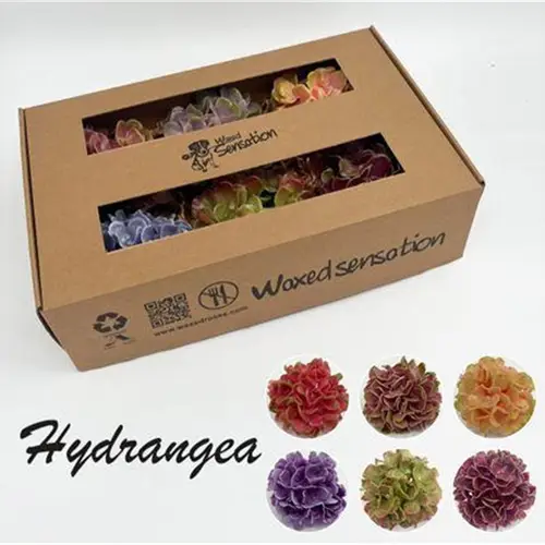Seiden Wachs Hortensie mix