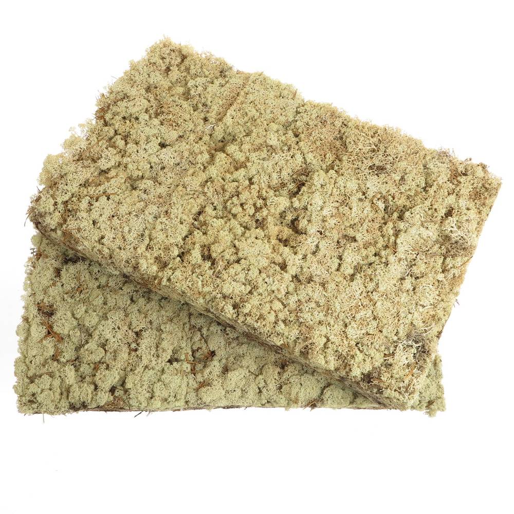 Islandmoos natur creme Gross