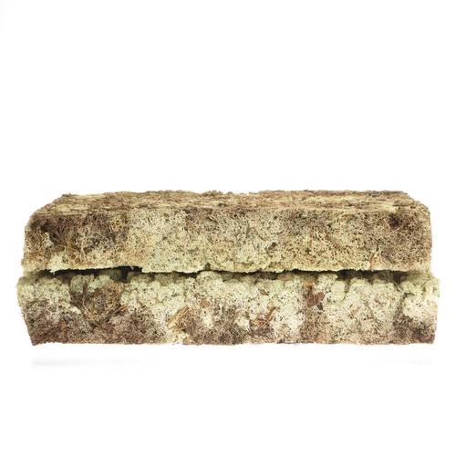 Islandmoos natur creme Gross