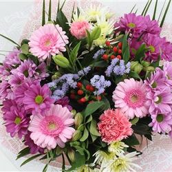 Strauß rosa gross 25 Stiele 60cm